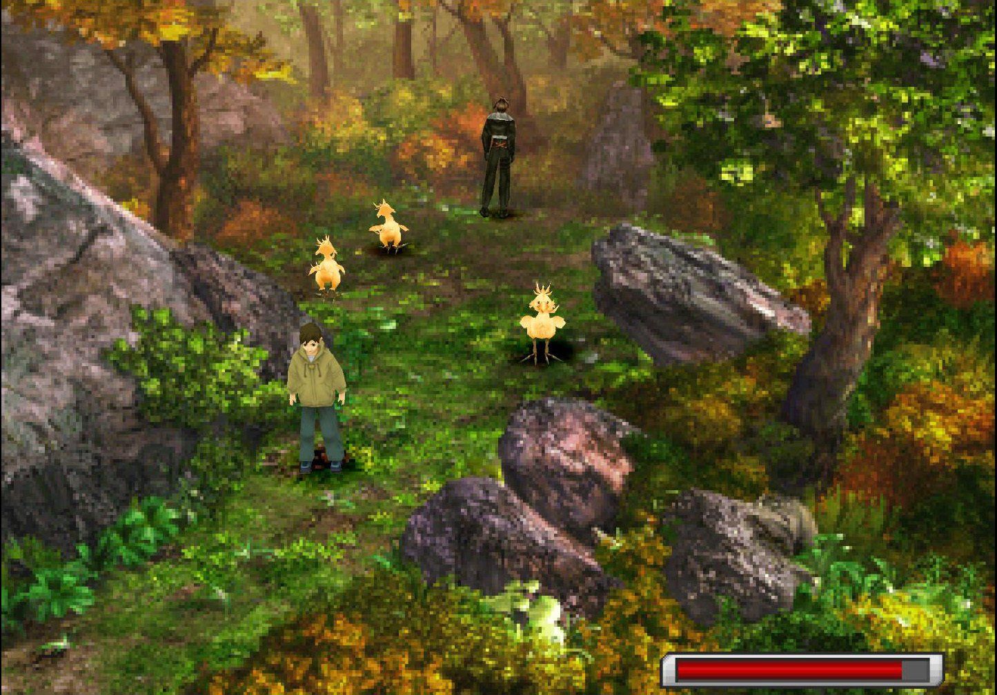 Enclosed Forest location 4