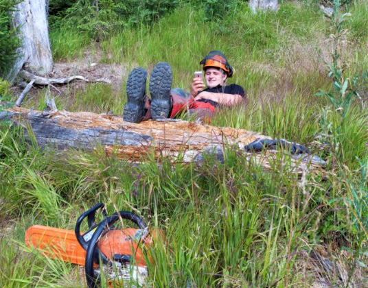 Lieferservice Holzbriketts mit Amarok