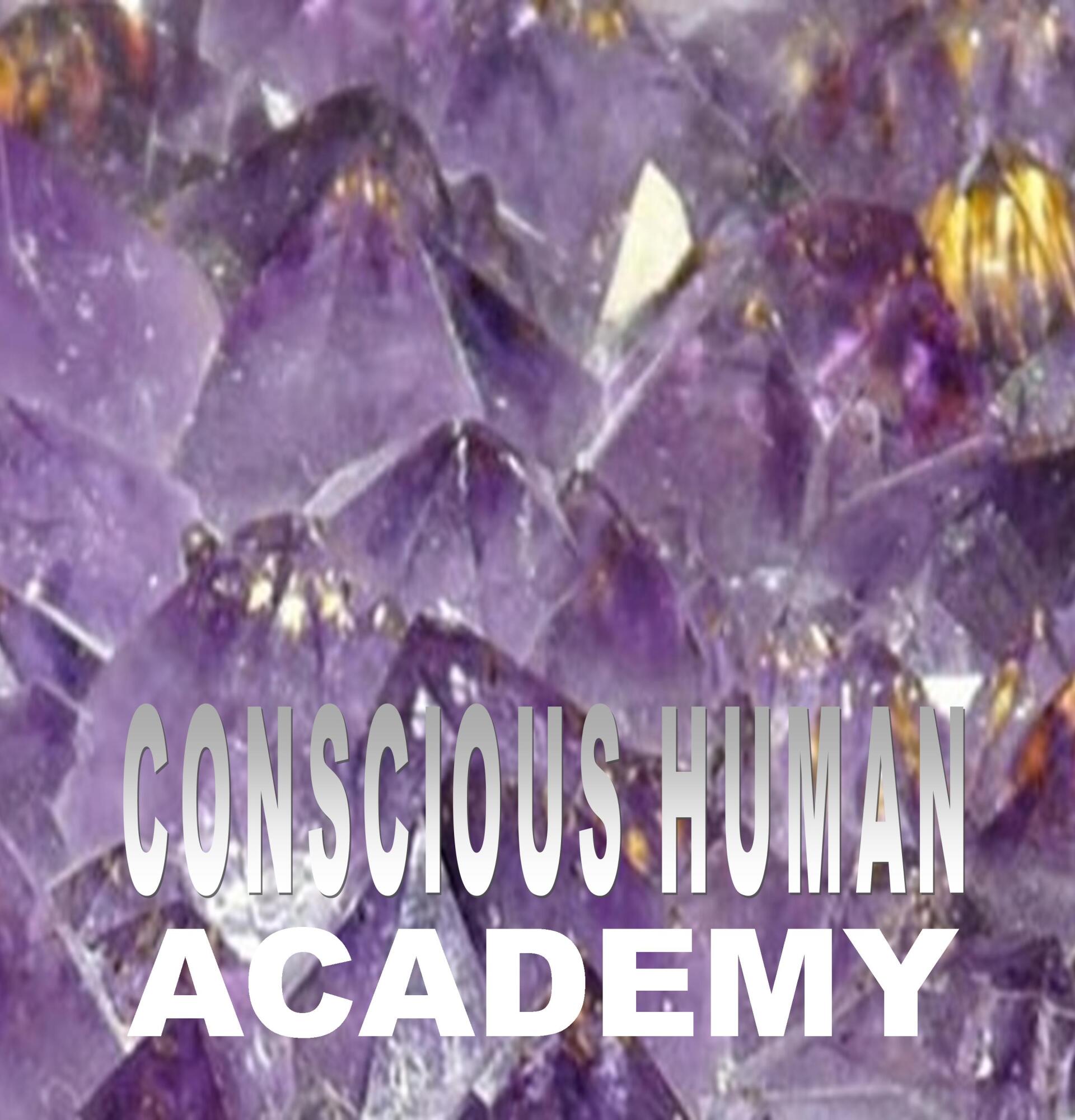 Présentation de CONSCIOUS HUMAN ACADEMY