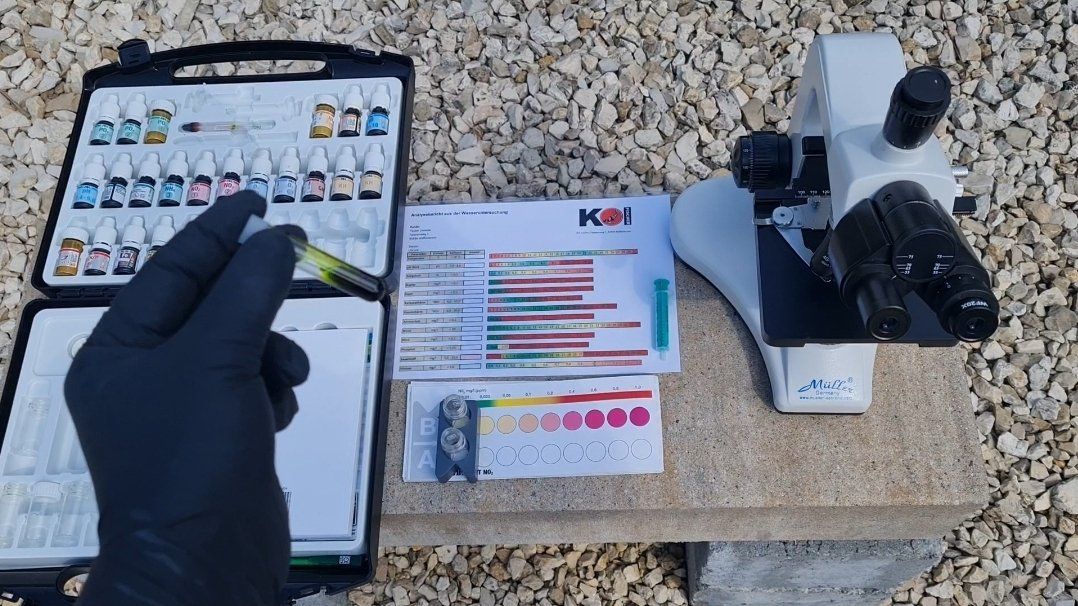 Koi Wasseruntersuchung, Teichanalyse, Parasitenabstrich, Parasitenkontrolle Koi Wasseruntersuchung, Teichanalyse, Parasitenabstrich, Parasitenkontrolle