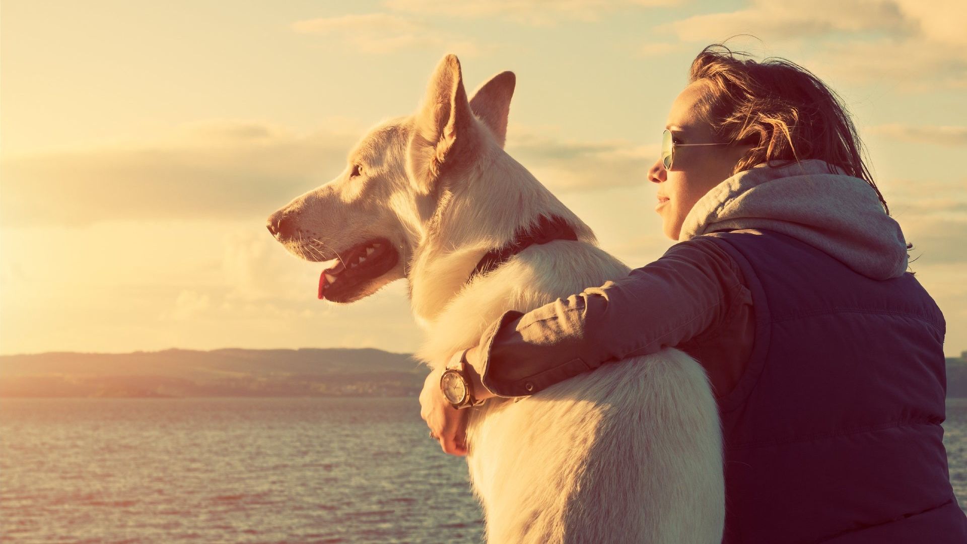 A women wearing a jacket, sitting with her large cream colored large dog looking to the sunset on the horizon.