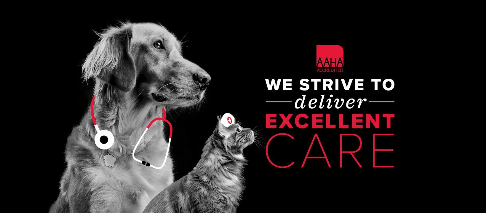 AAHA we strive to deliver excellent care text in white and red, a black background, with a photo of a grey dog and cat.