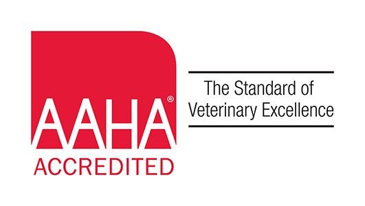 Link: Red box and white AAHA Accredited Logo with The Standard of Veterinary Excellence in black letters side-by-side