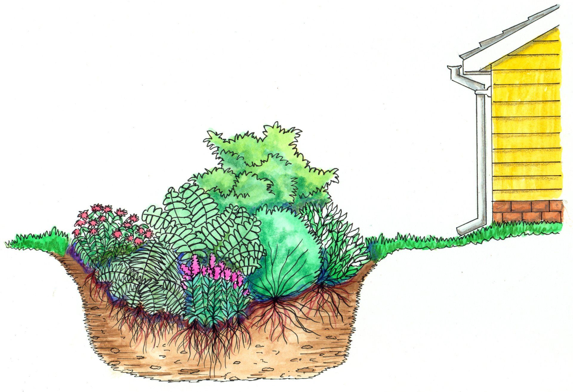 maison, toit, gouttières, trop plein, jardin, pluie