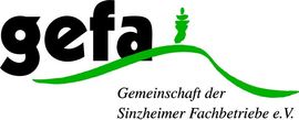 Logo/Link Werbegemeinschaft GEFA Sinzheim