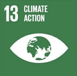 UN Sustainable Development Goals - No. 13