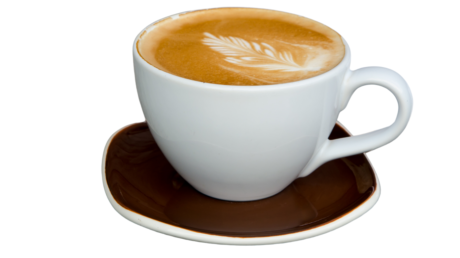 QVHD Mitglieder sind abgesicherte und erfolgreiche Hörakustiker 9 lachende Gesichter von Hörakustik Mitgliedern, die im Kreis liegen und ihre Daumen nach oben zeigen