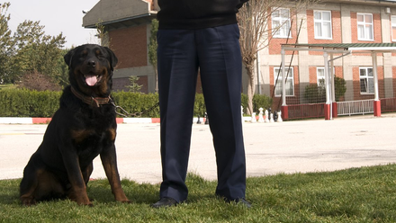 Keyholding in the Cotswolds by CSG Cotswolds Keyholding, Cotswolds K9, Cotswolds Security, CSG