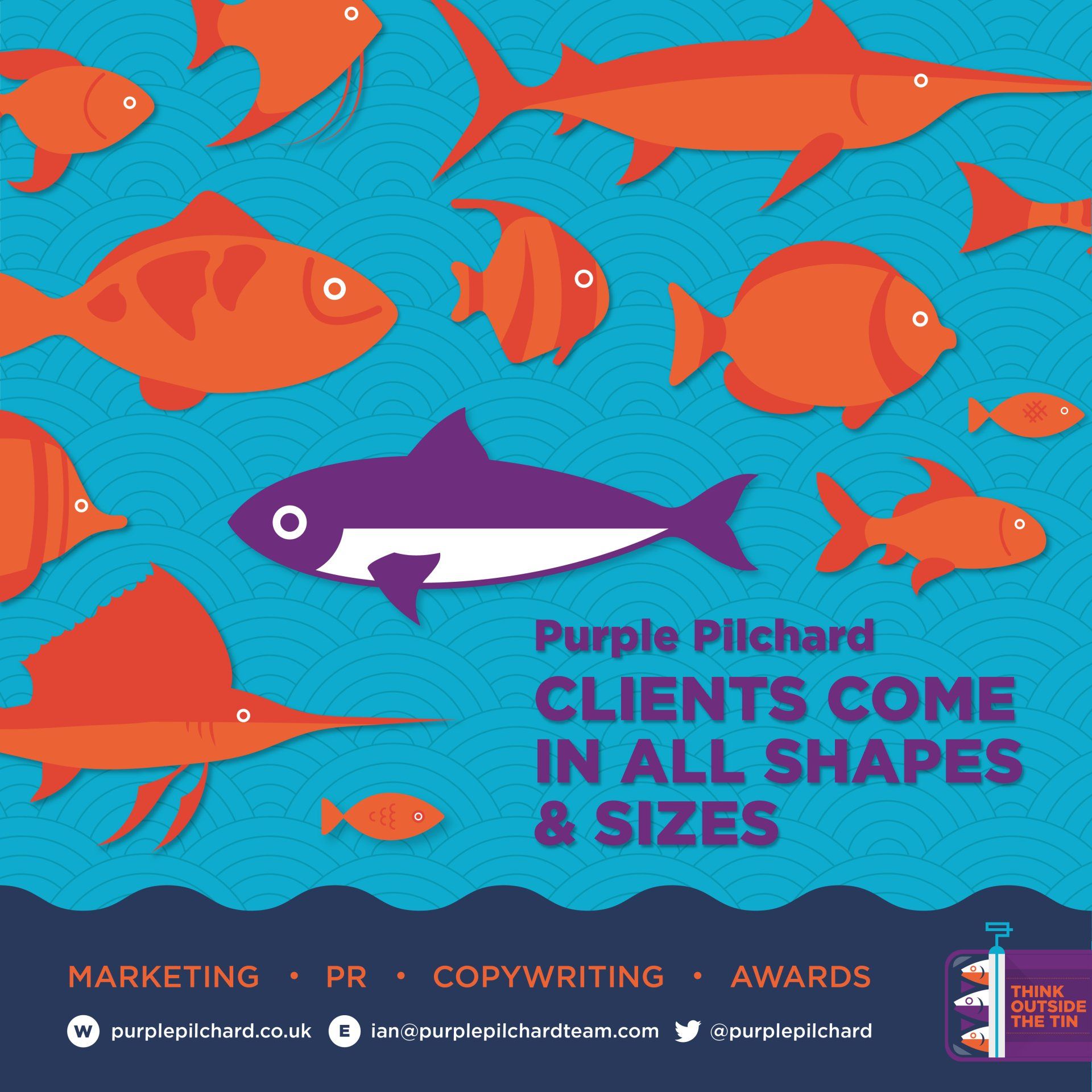 purple pilchards branding