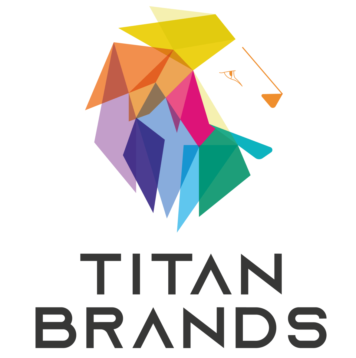 Titan Brands Logo