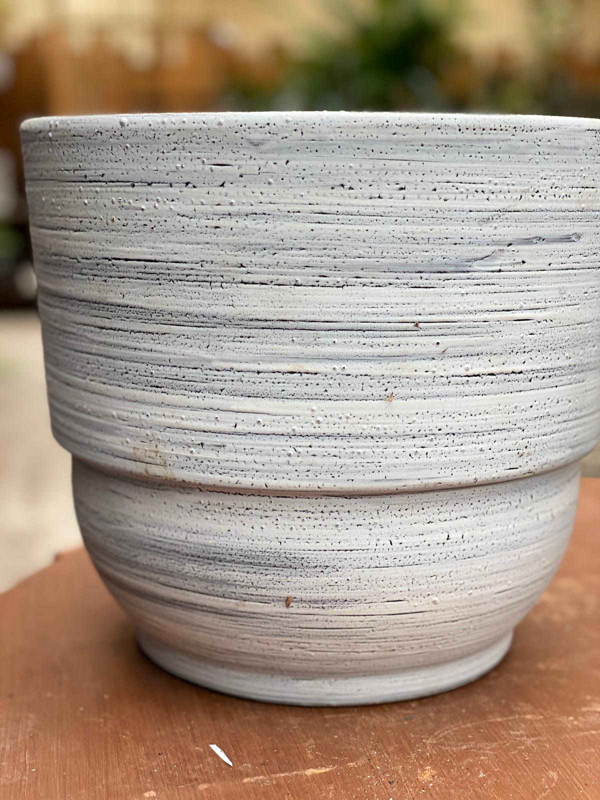 PEPINIERE DES ASPRES GRASSE 2024 ALPES MARITIMES JARDINERIE