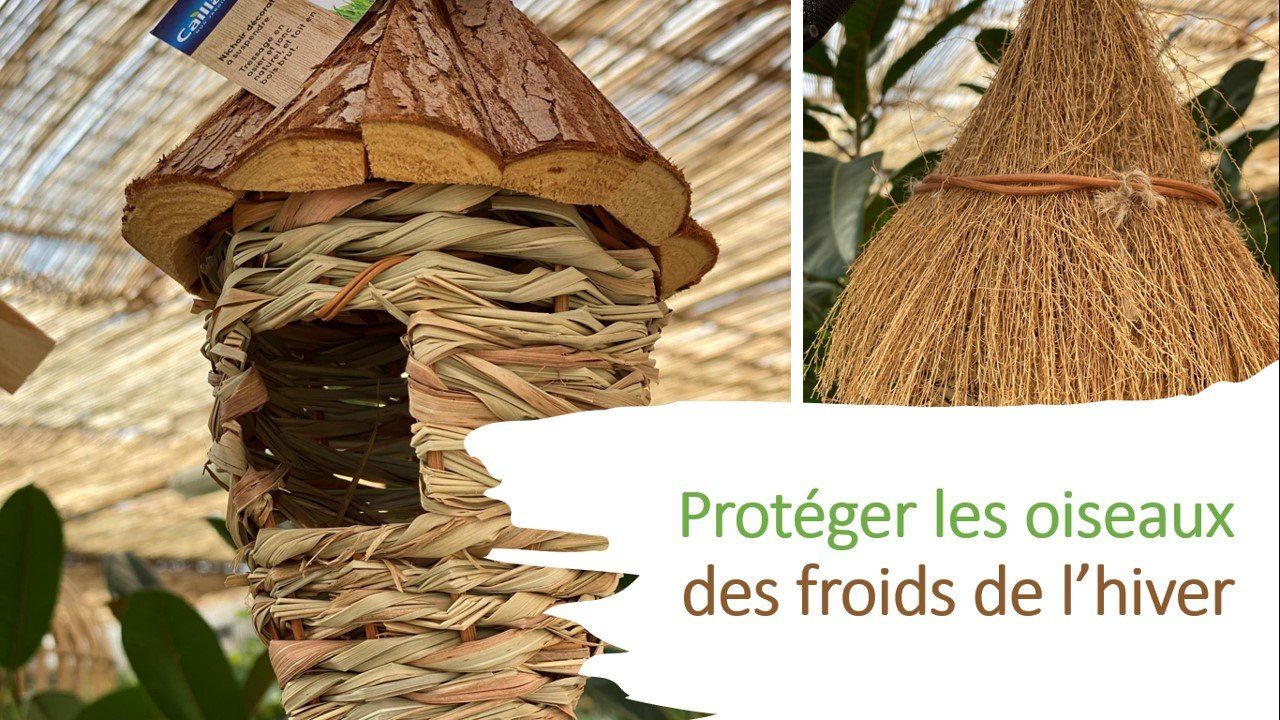 PEPINIERE DES ASPRES GRASSE 2024 ALPES MARITIMES JARDINERIE