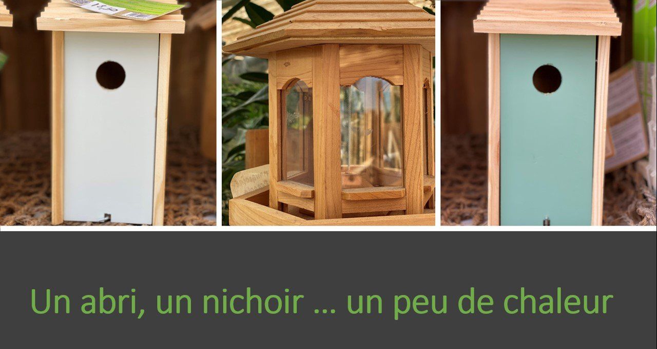 PEPINIERE DES ASPRES GRASSE 2024 ALPES MARITIMES JARDINERIE