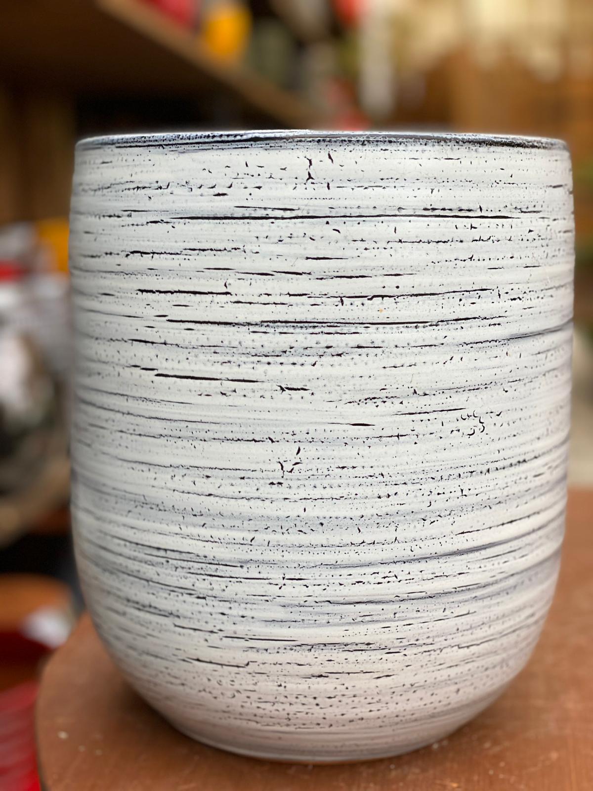 PEPINIERE DES ASPRES GRASSE 2024 ALPES MARITIMES JARDINERIE