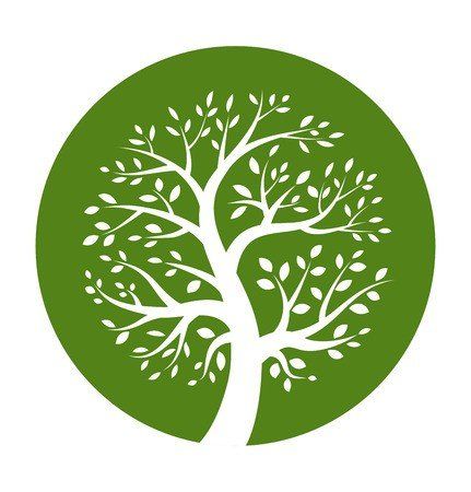 NURSERY DES ASPRES GRASSE 2024 ALPES MARITIMES GARDEN CARE