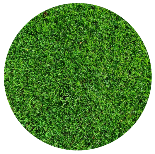 NURSERY DES ASPRES GRASSE 2024 ALPES MARITIMES GARDEN CARE