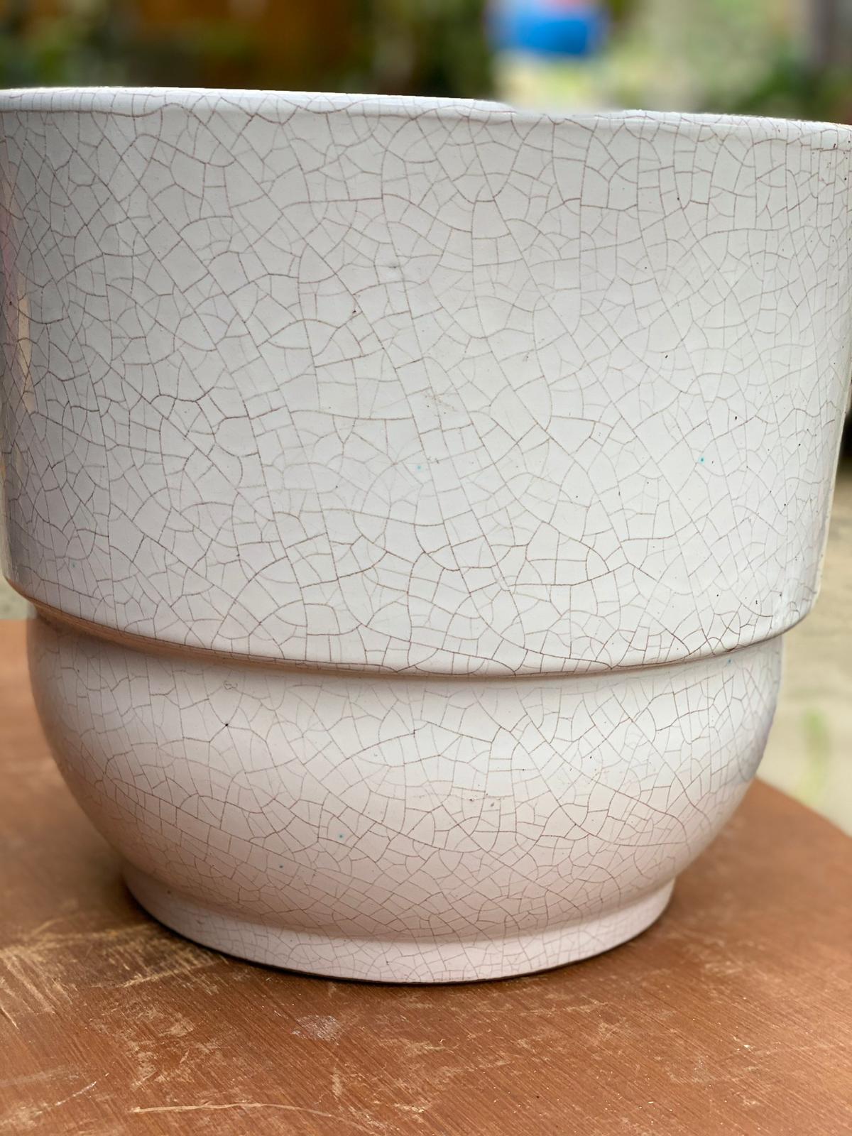 PEPINIERE DES ASPRES GRASSE 2024 ALPES MARITIMES JARDINERIE