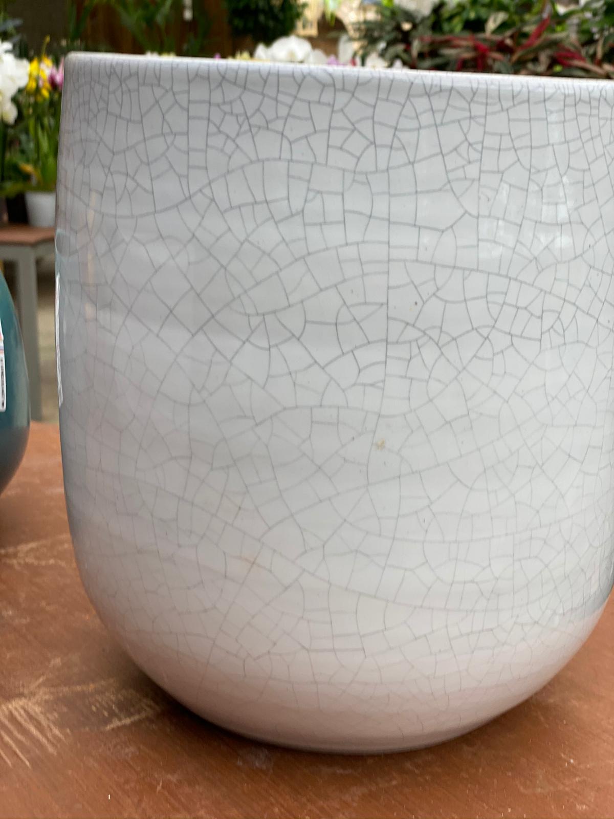 PEPINIERE DES ASPRES GRASSE 2024 ALPES MARITIMES JARDINERIE