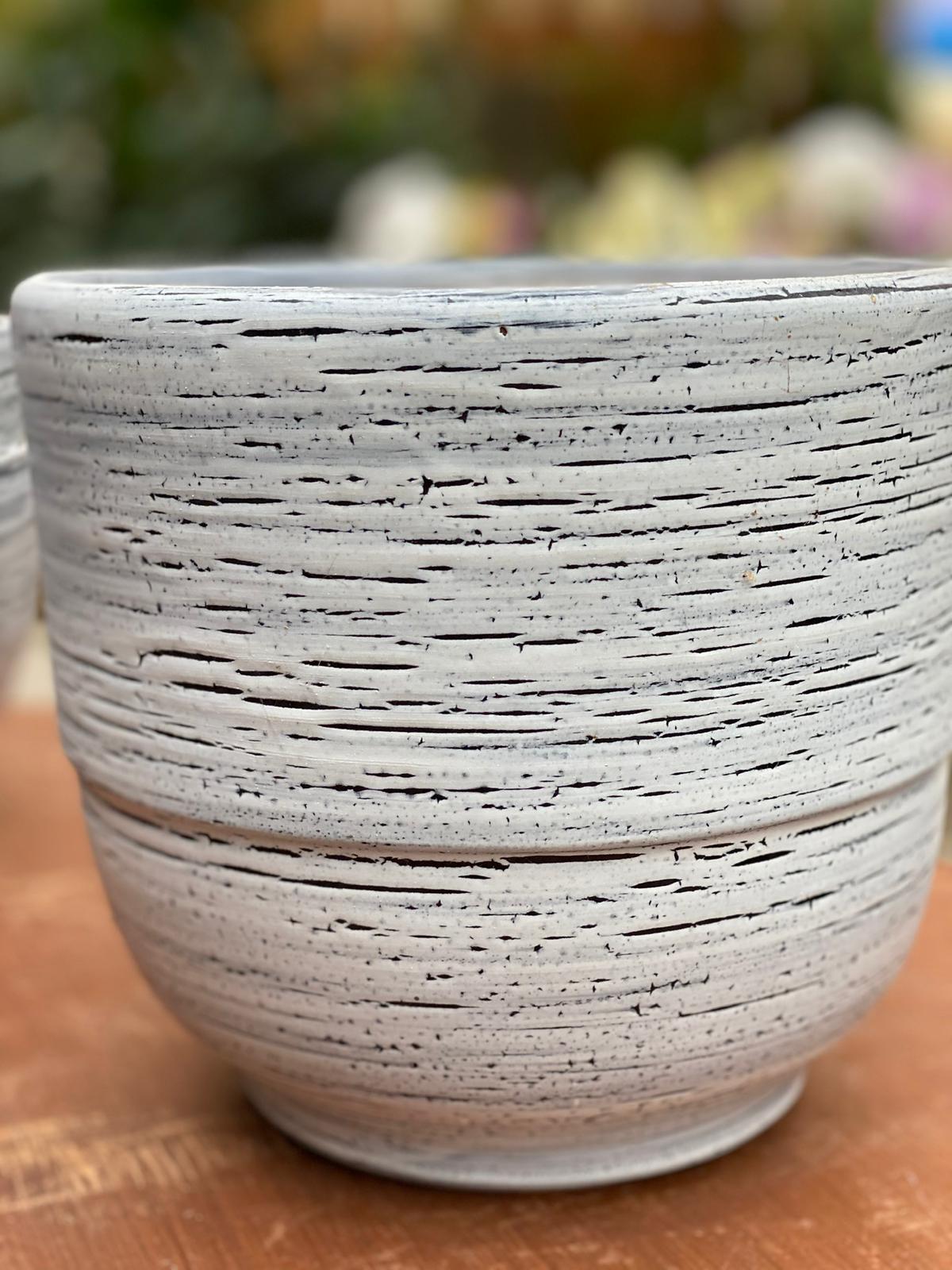 PEPINIERE DES ASPRES GRASSE 2024 ALPES MARITIMES JARDINERIE