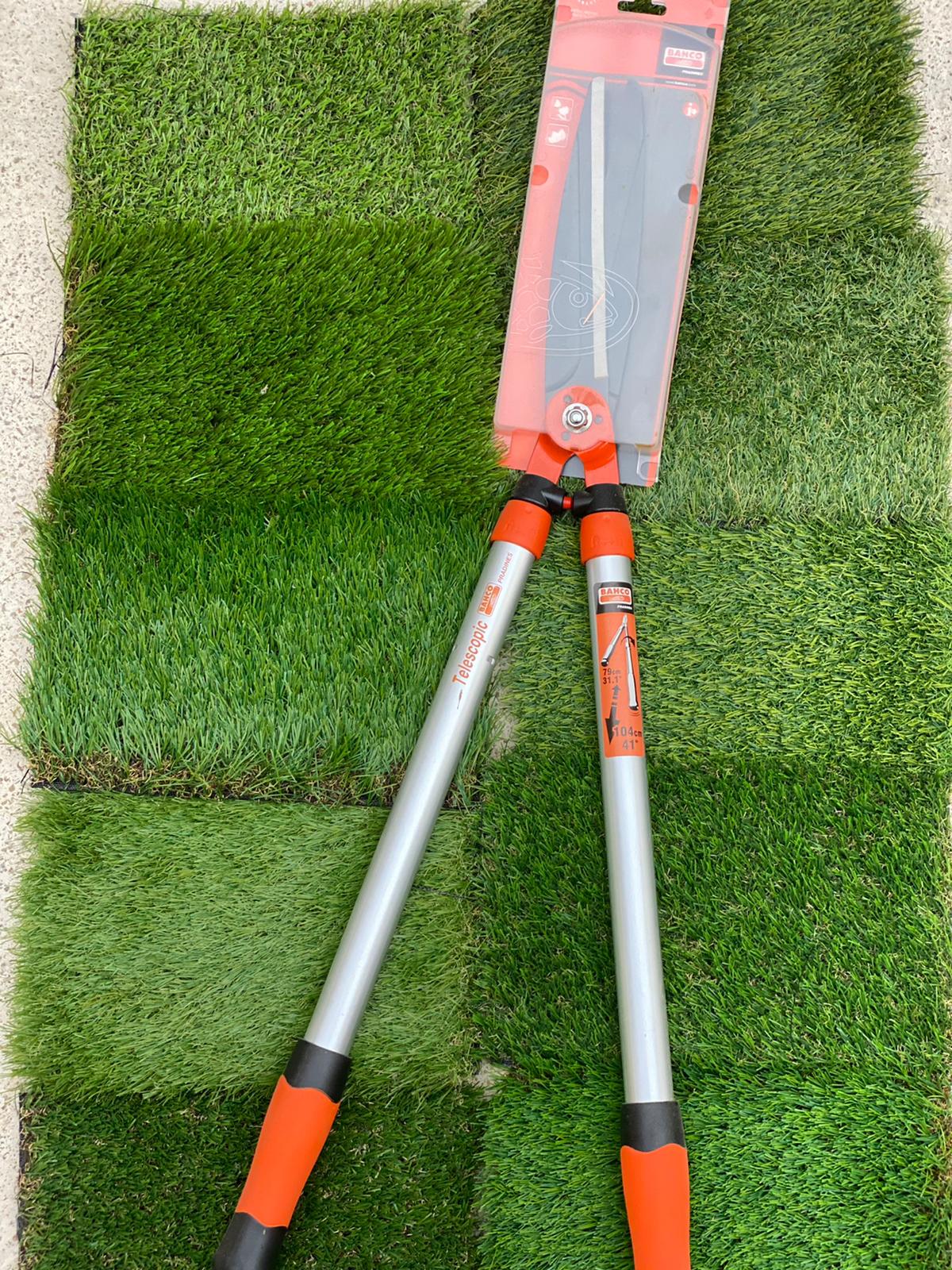 PEPINIERE DES ASPRES GRASSE 2024 ALPES MARITIMES JARDINERIE