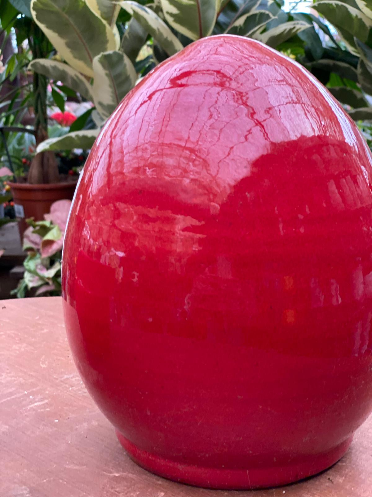 PEPINIERE DES ASPRES GRASSE 2024 ALPES MARITIMES JARDINERIE