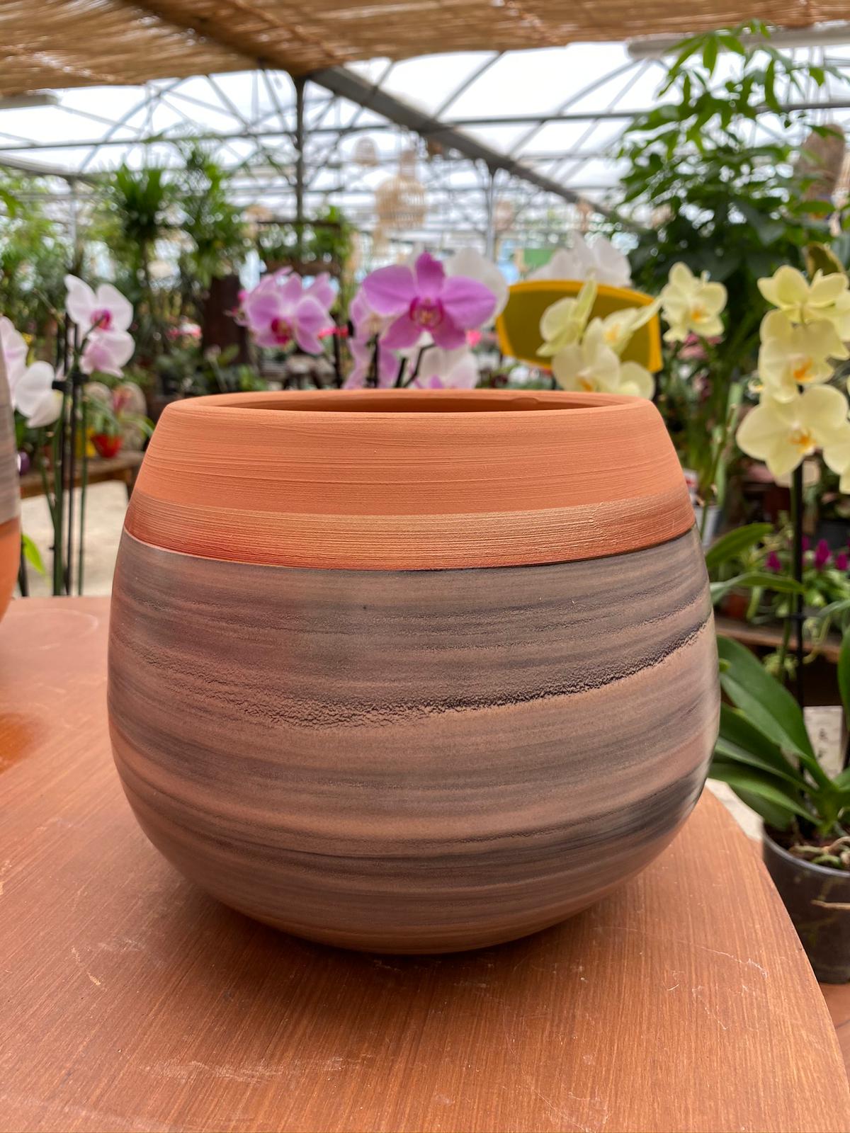 PEPINIERE DES ASPRES GRASSE 2024 ALPES MARITIMES JARDINERIE