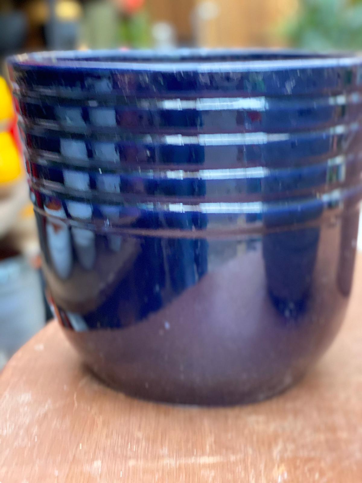 PEPINIERE DES ASPRES GRASSE 2024 ALPES MARITIMES JARDINERIE