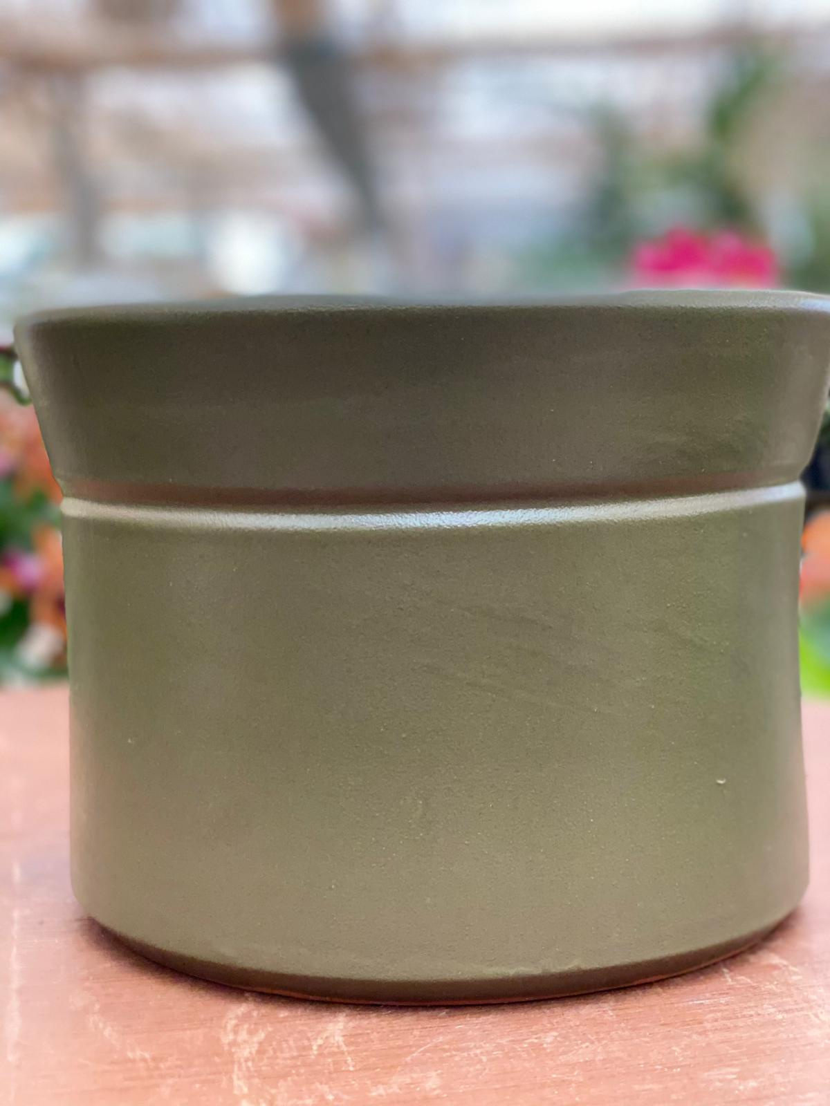 PEPINIERE DES ASPRES GRASSE 2024 ALPES MARITIMES JARDINERIE