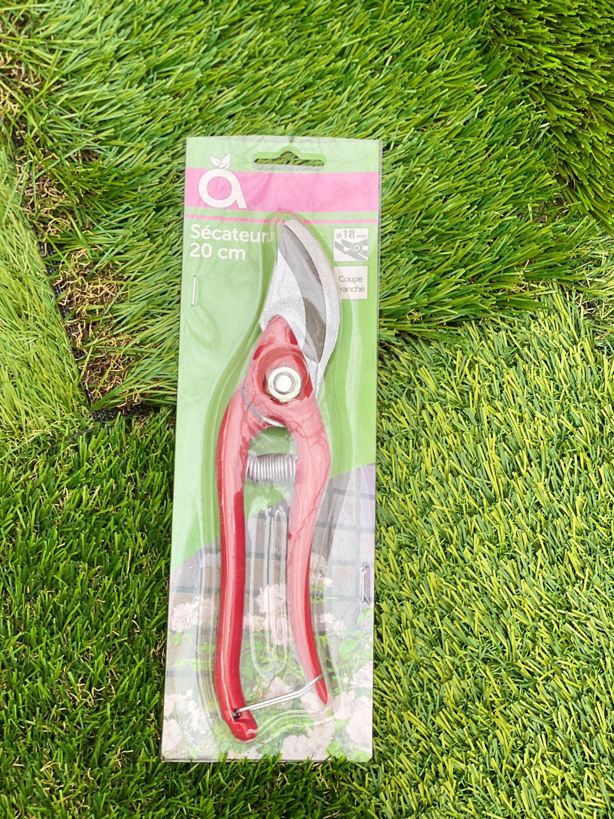 PEPINIERE DES ASPRES GRASSE 2024 ALPES MARITIMES JARDINERIE