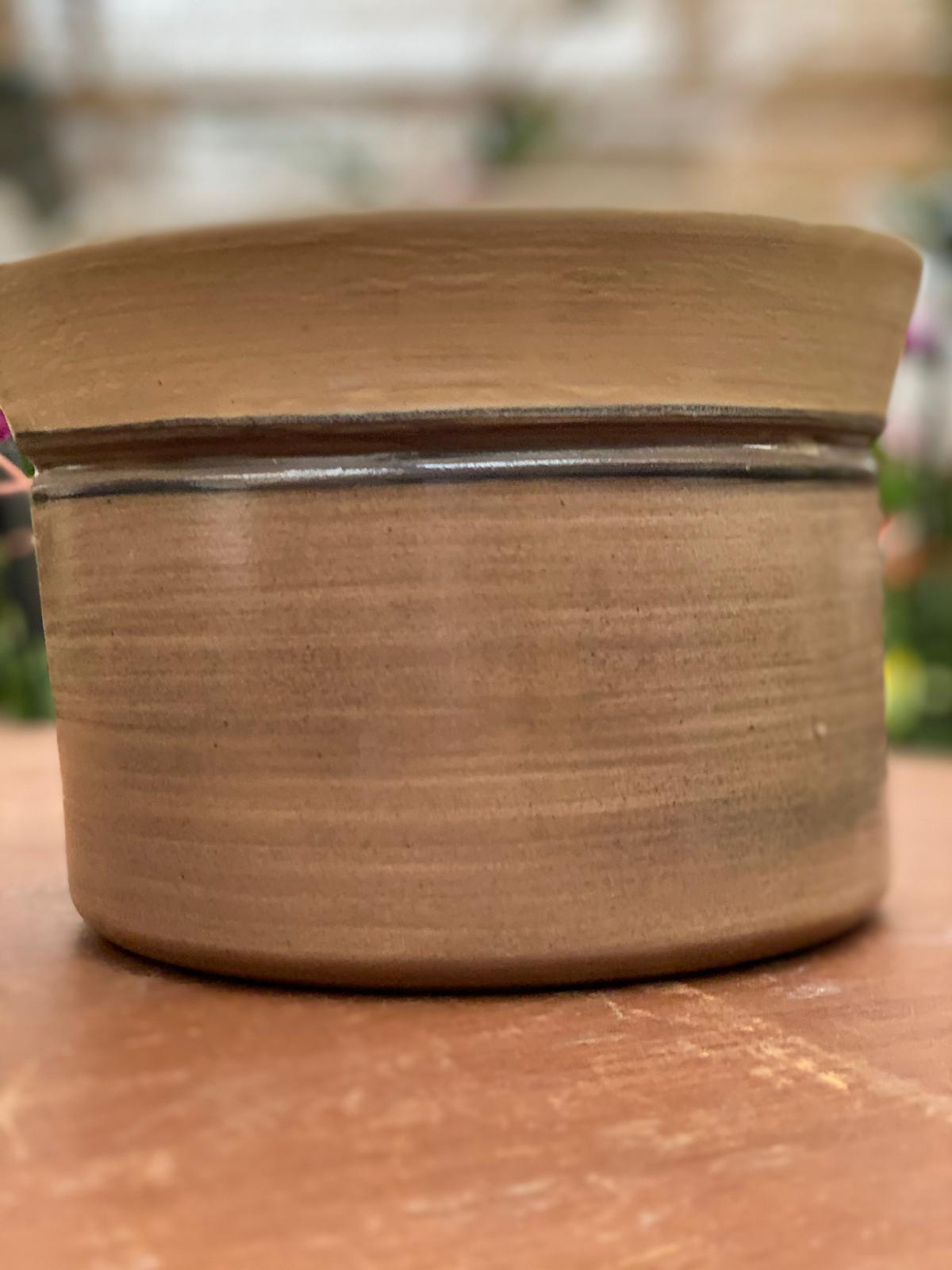 PEPINIERE DES ASPRES GRASSE 2024 ALPES MARITIMES JARDINERIE