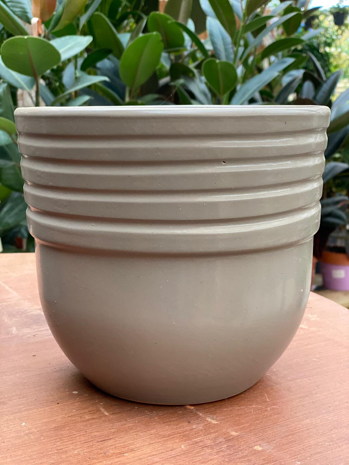 PEPINIERE DES ASPRES GRASSE 2024 ALPES MARITIMES JARDINERIE