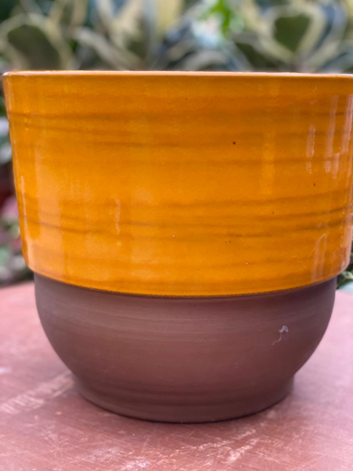 PEPINIERE DES ASPRES GRASSE 2024 ALPES MARITIMES JARDINERIE