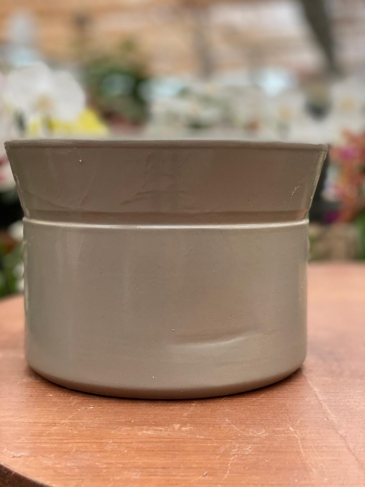 PEPINIERE DES ASPRES GRASSE 2024 ALPES MARITIMES JARDINERIE