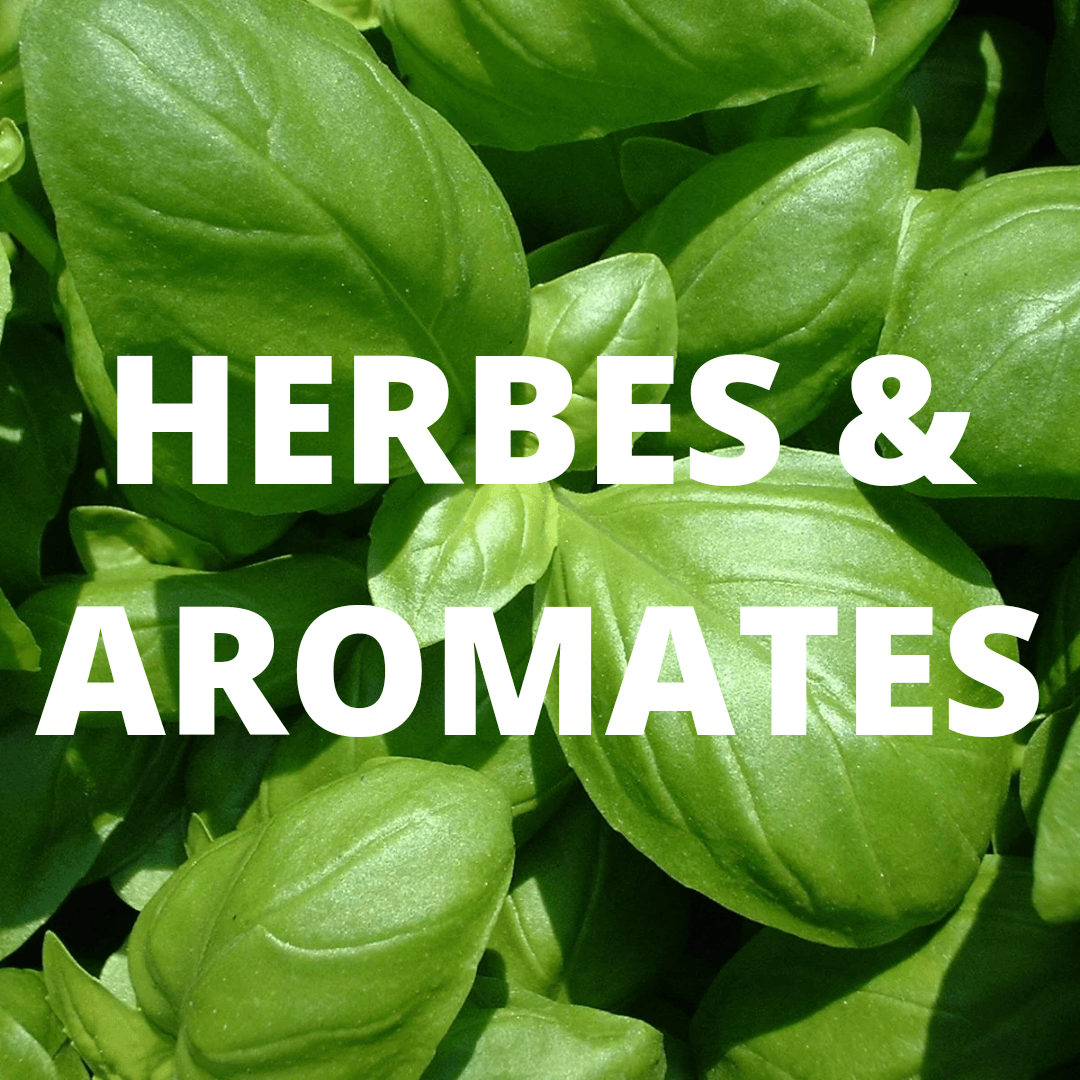 PEPINIERE DES ASPRES GRASSE 2024 ALPES MARITIMES JARDINERIE