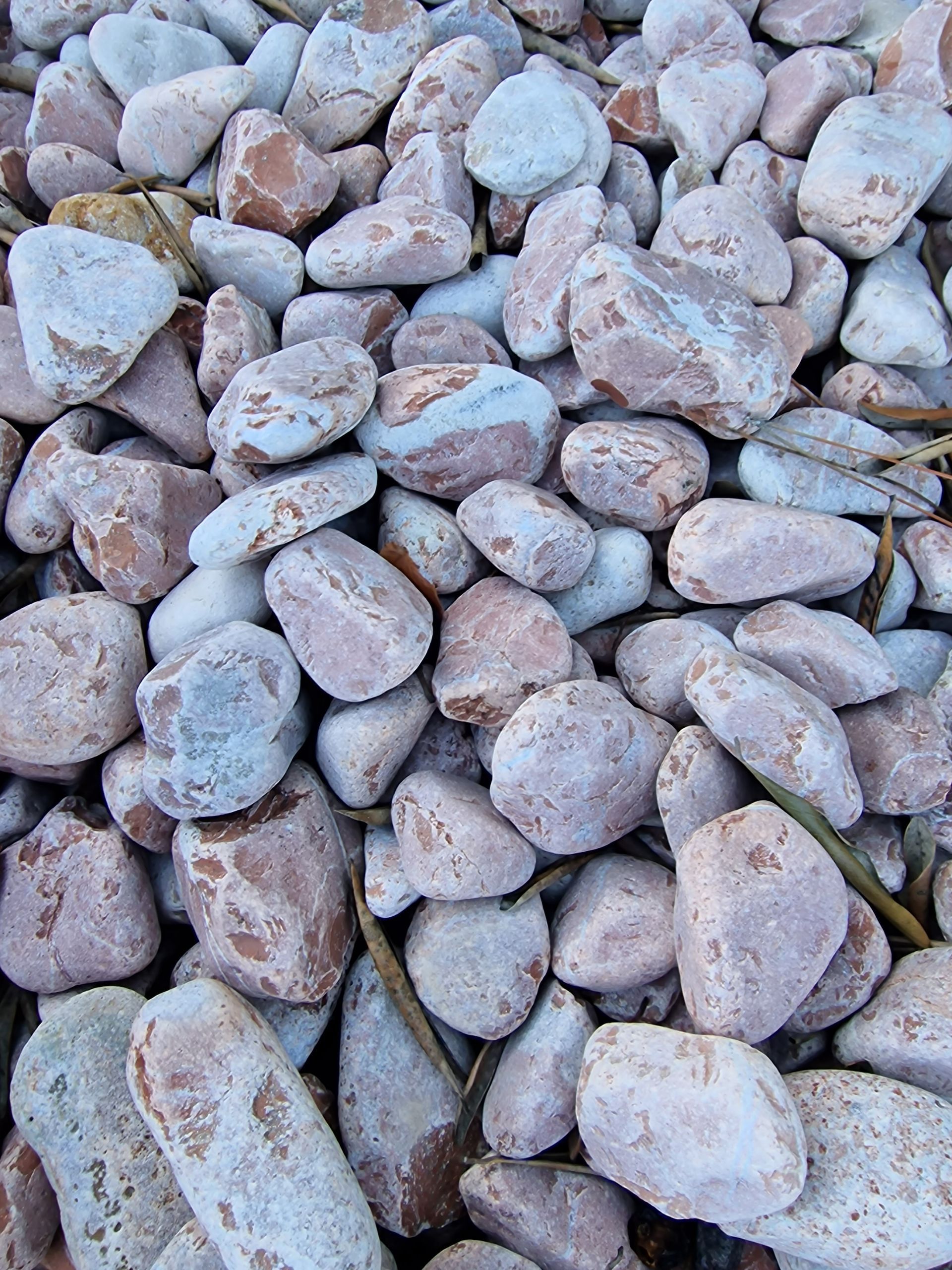 PEPINIERE DES ASPRES GRASSE 2024 ALPES MARITIMES JARDINERIE