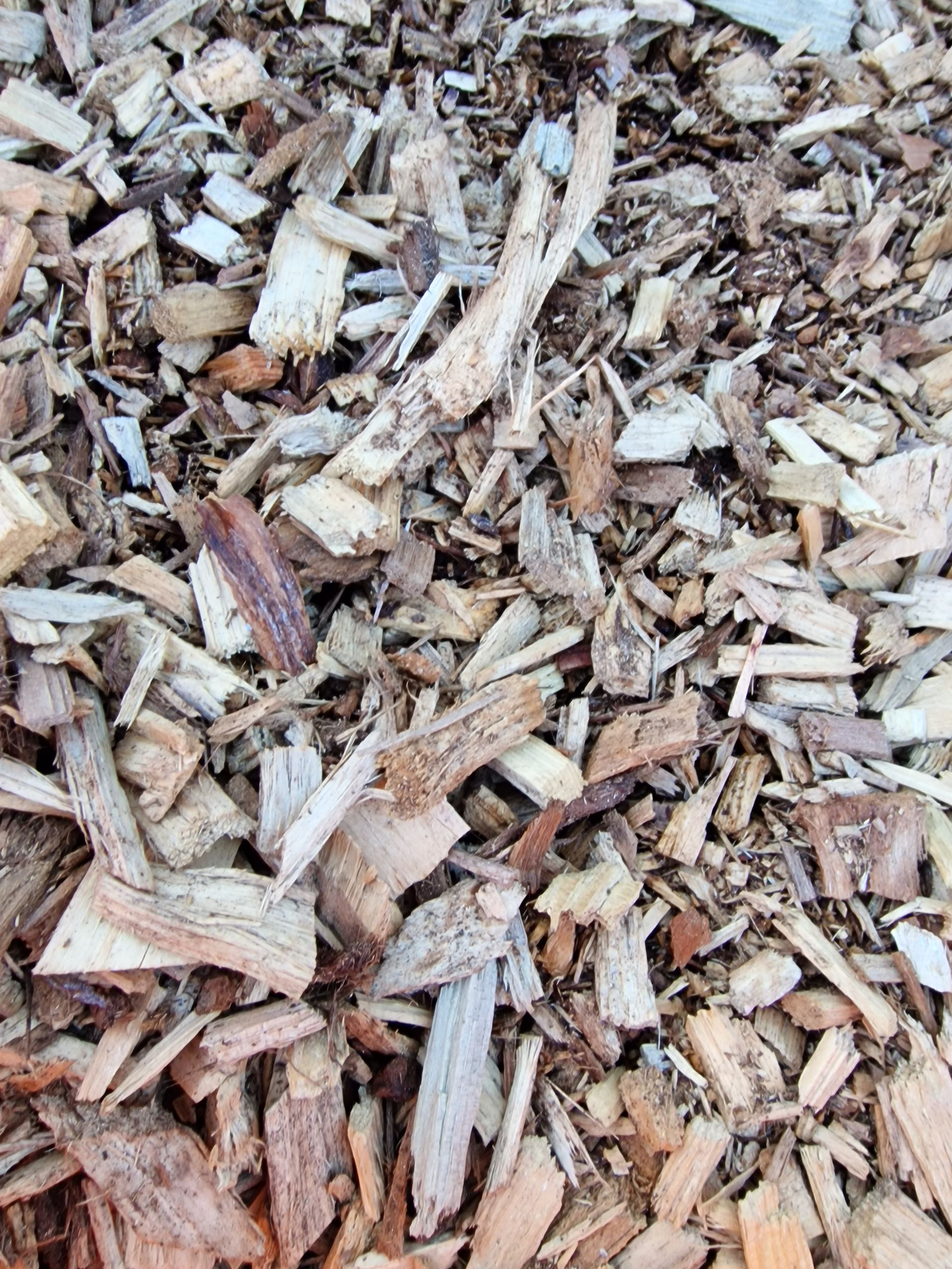 PEPINIERE DES ASPRES GRASSE 2024 ALPES MARITIMES JARDINERIE