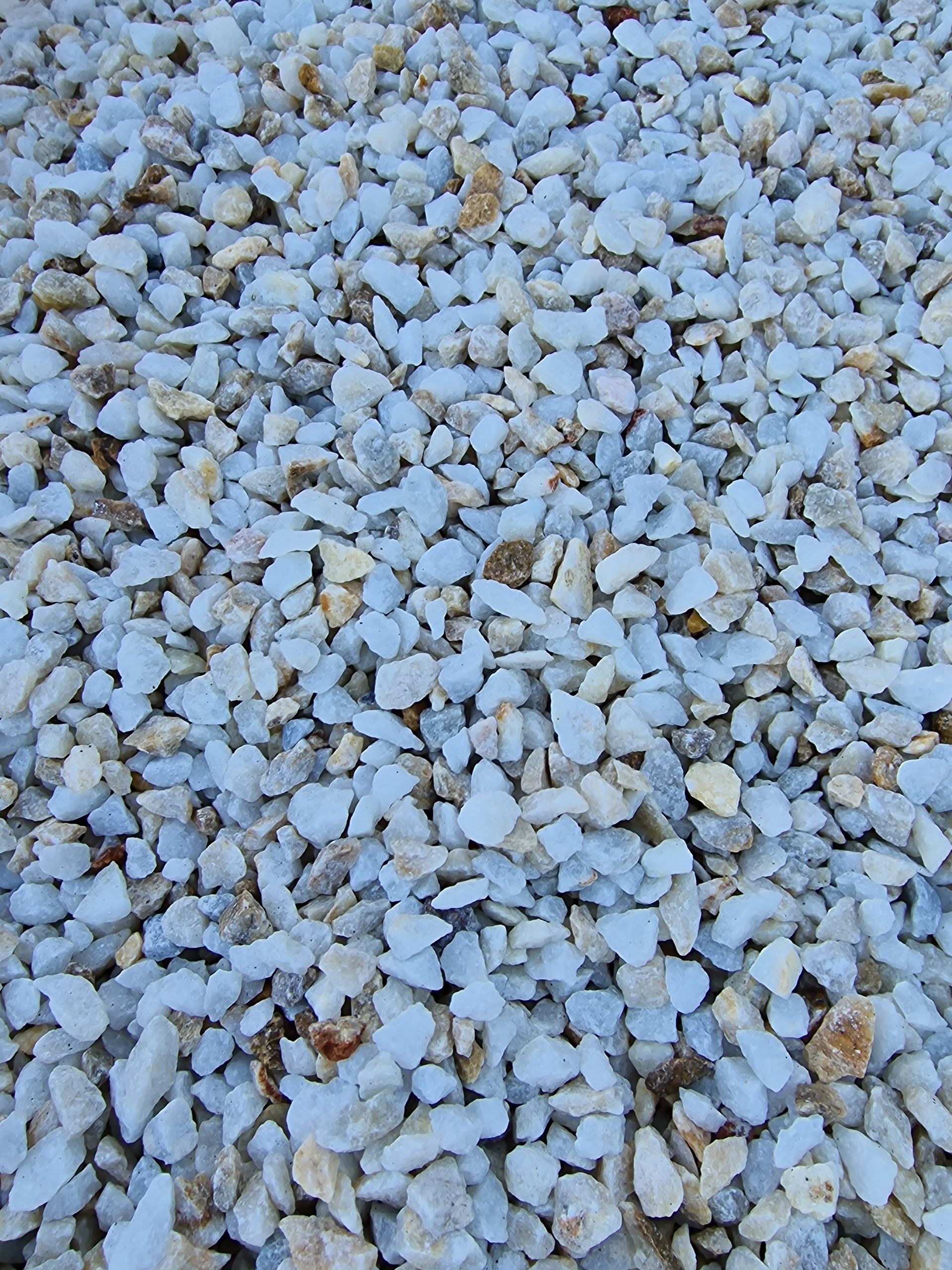 PEPINIERE DES ASPRES GRASSE 2024 ALPES MARITIMES JARDINERIE