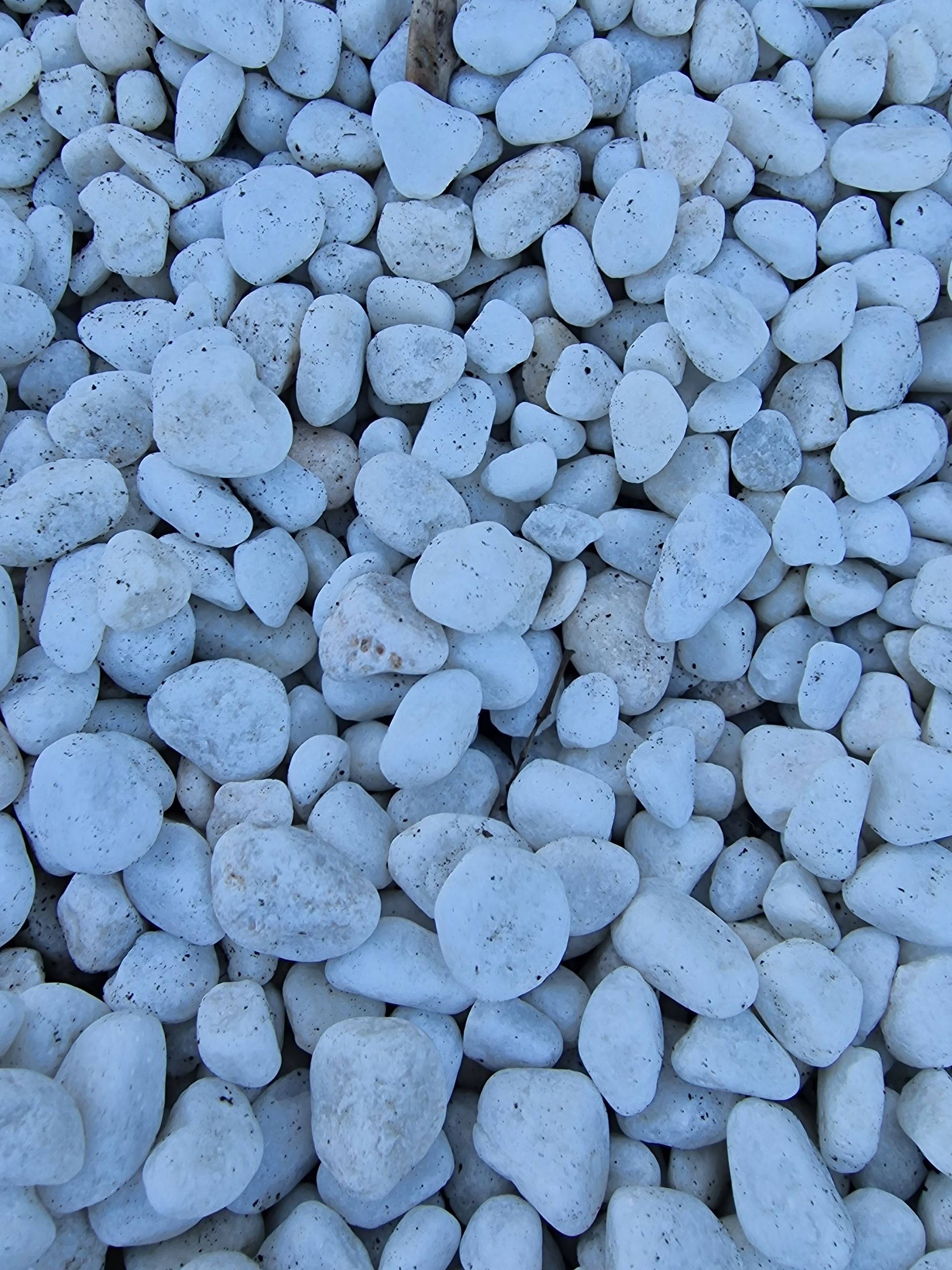 PEPINIERE DES ASPRES GRASSE 2024 ALPES MARITIMES JARDINERIE