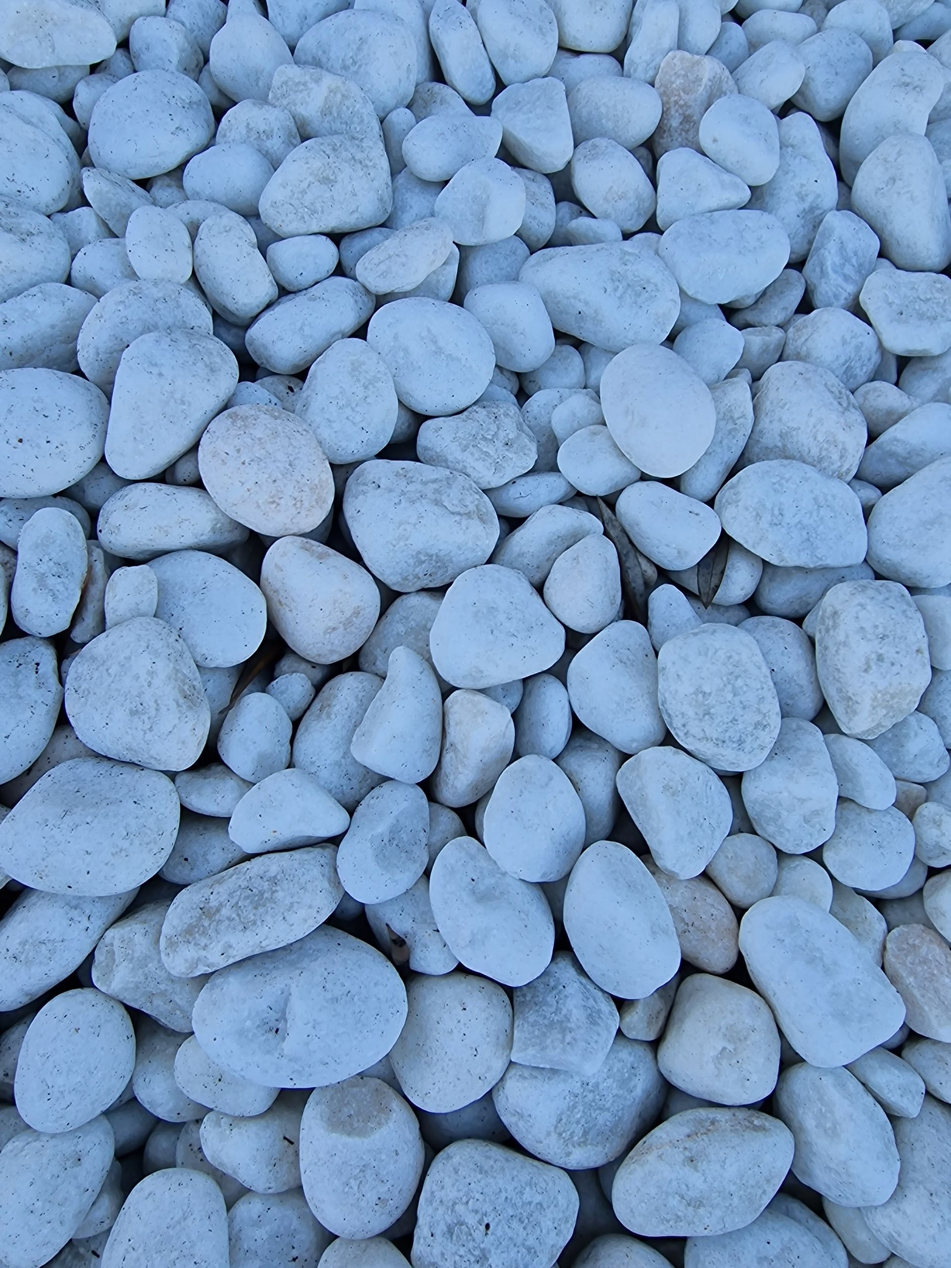 PEPINIERE DES ASPRES GRASSE 2024 ALPES MARITIMES JARDINERIE