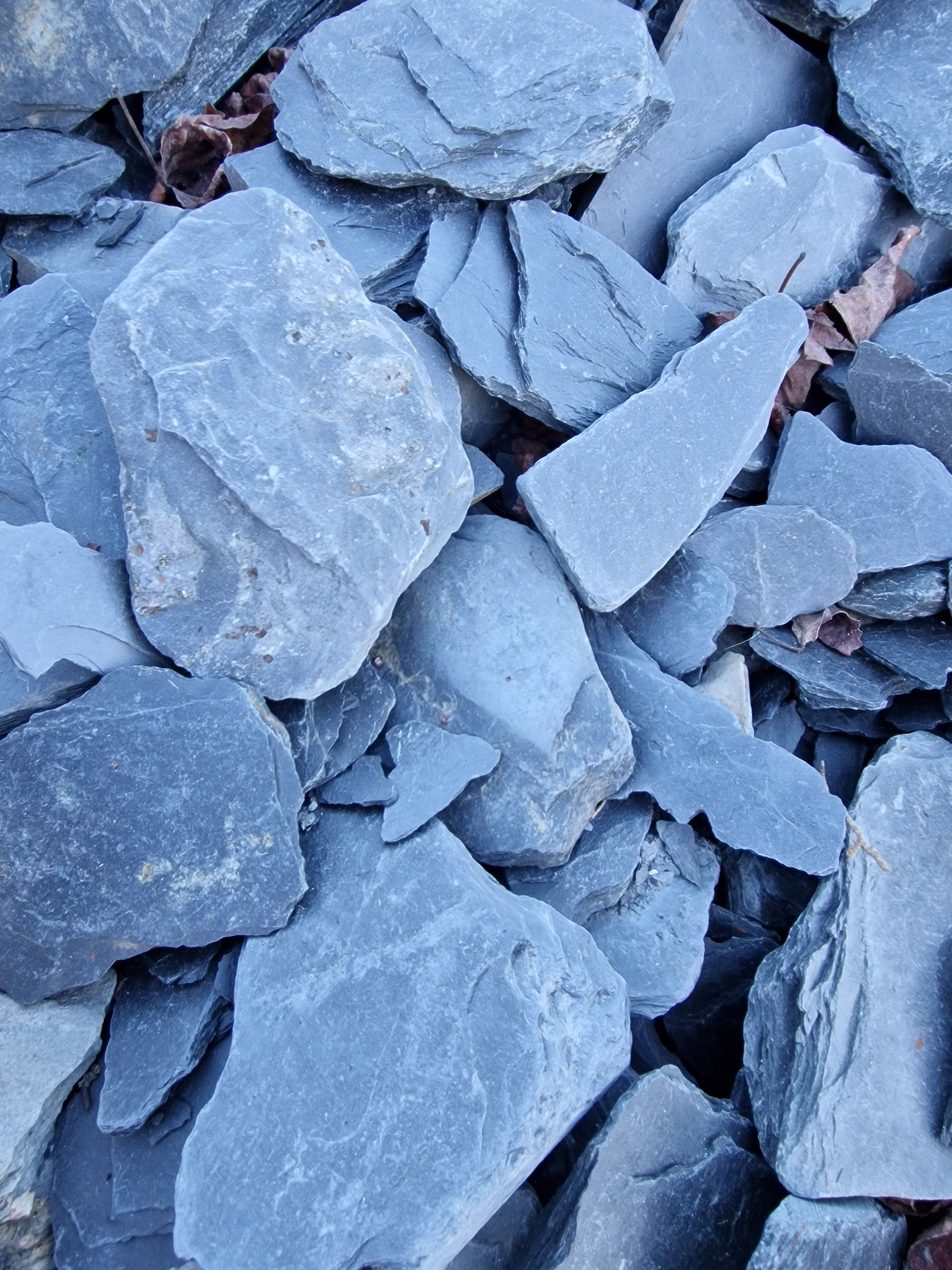 PEPINIERE DES ASPRES GRASSE 2024 ALPES MARITIMES JARDINERIE