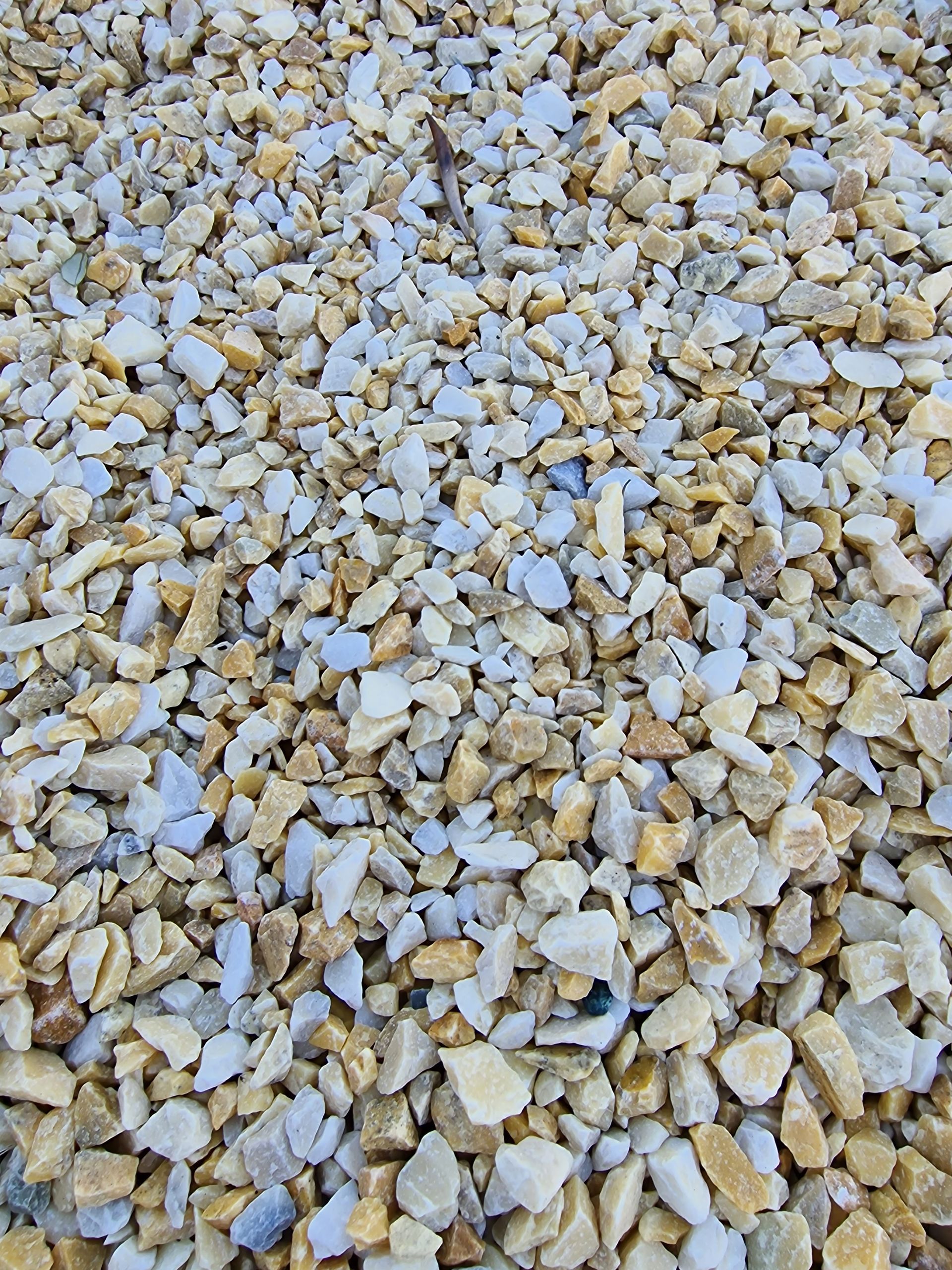 PEPINIERE DES ASPRES GRASSE 2024 ALPES MARITIMES JARDINERIE