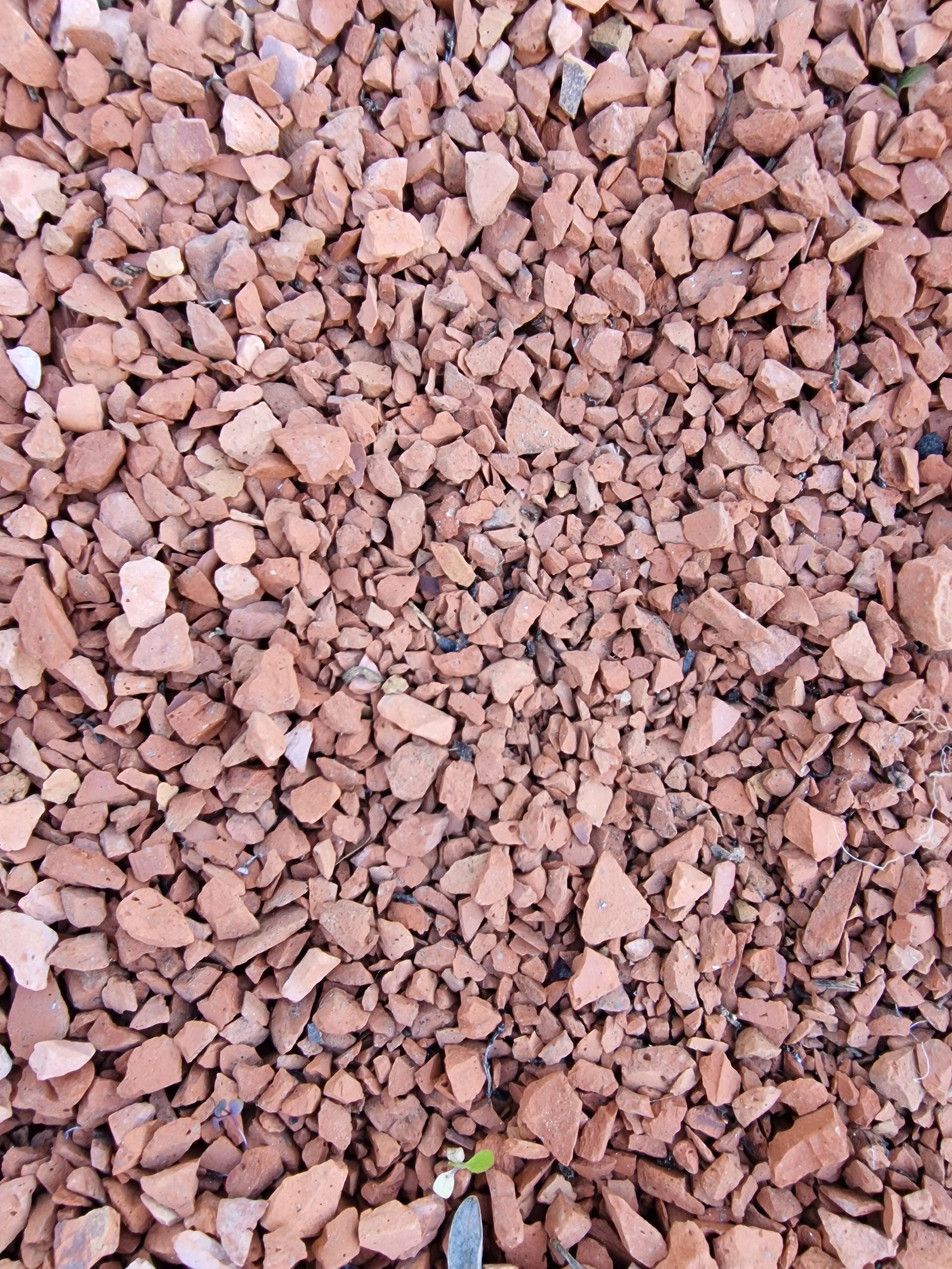 PEPINIERE DES ASPRES GRASSE 2024 ALPES MARITIMES JARDINERIE