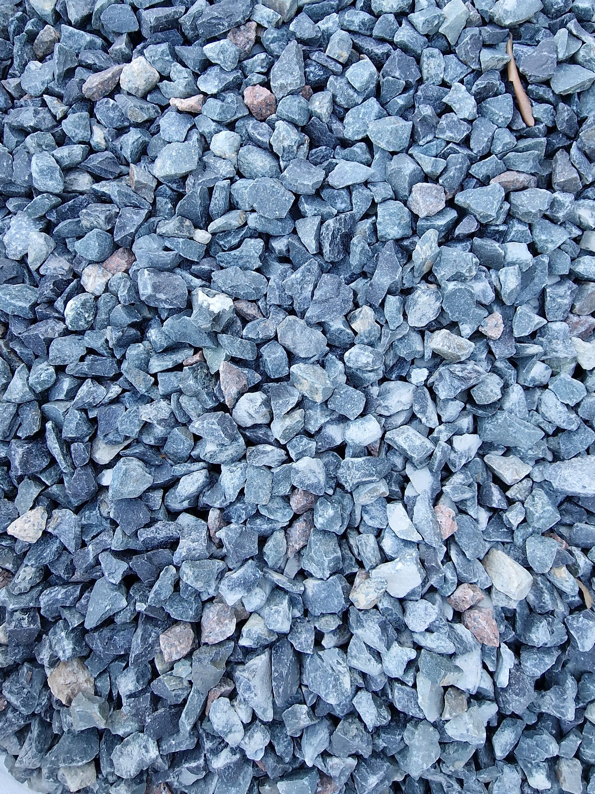 PEPINIERE DES ASPRES GRASSE 2024 ALPES MARITIMES JARDINERIE