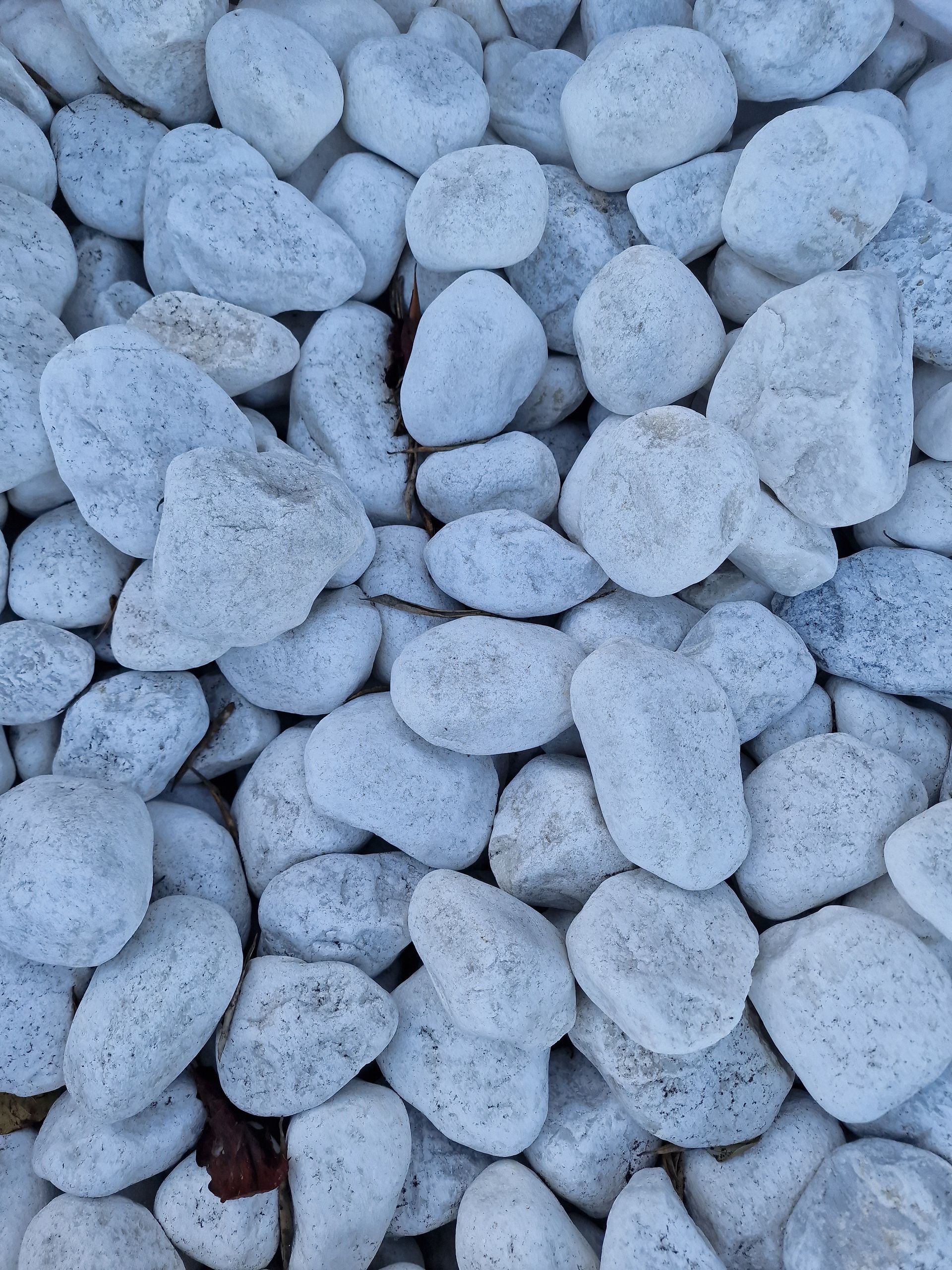 PEPINIERE DES ASPRES GRASSE 2024 ALPES MARITIMES JARDINERIE