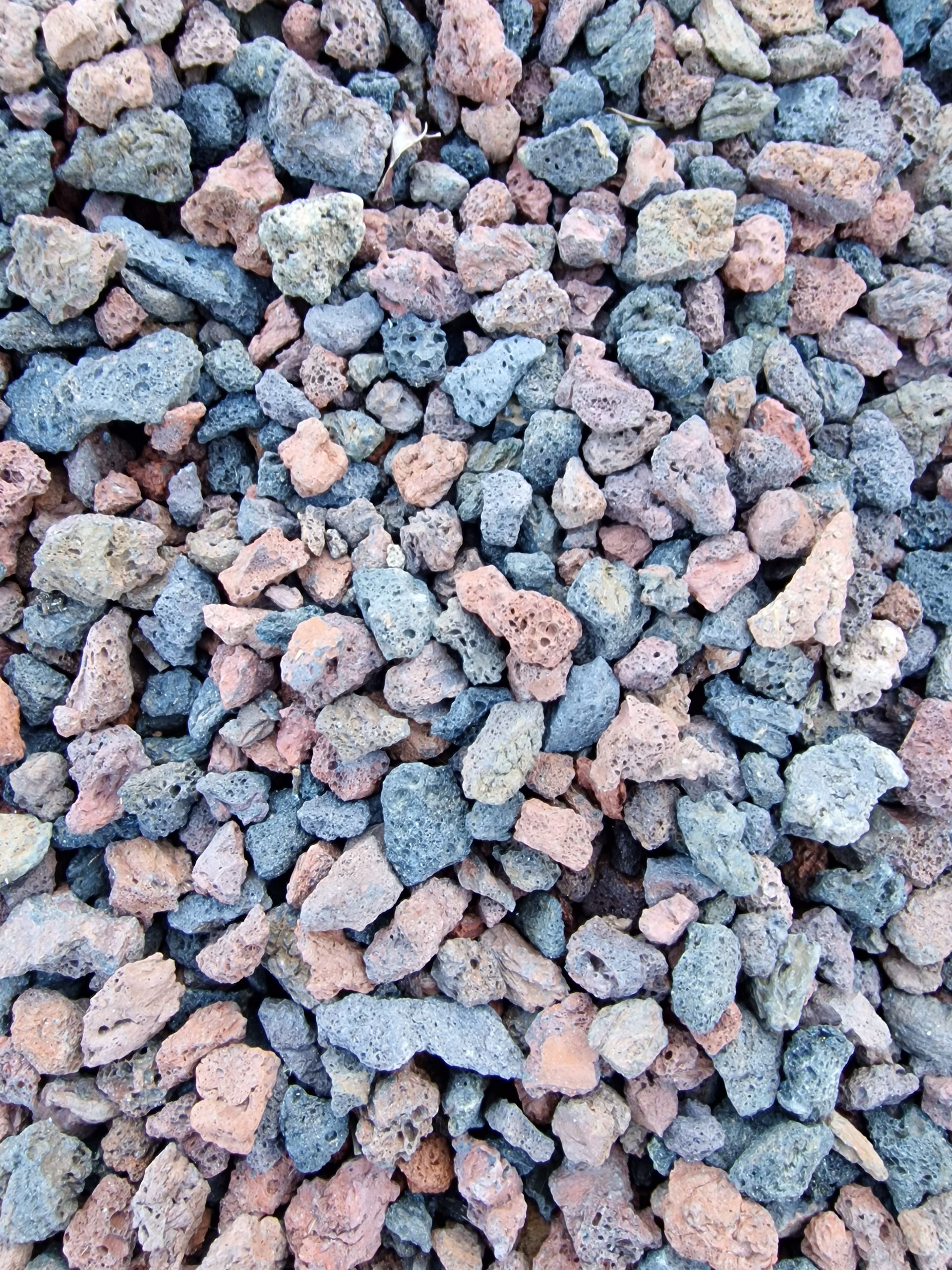 PEPINIERE DES ASPRES GRASSE 2024 ALPES MARITIMES JARDINERIE