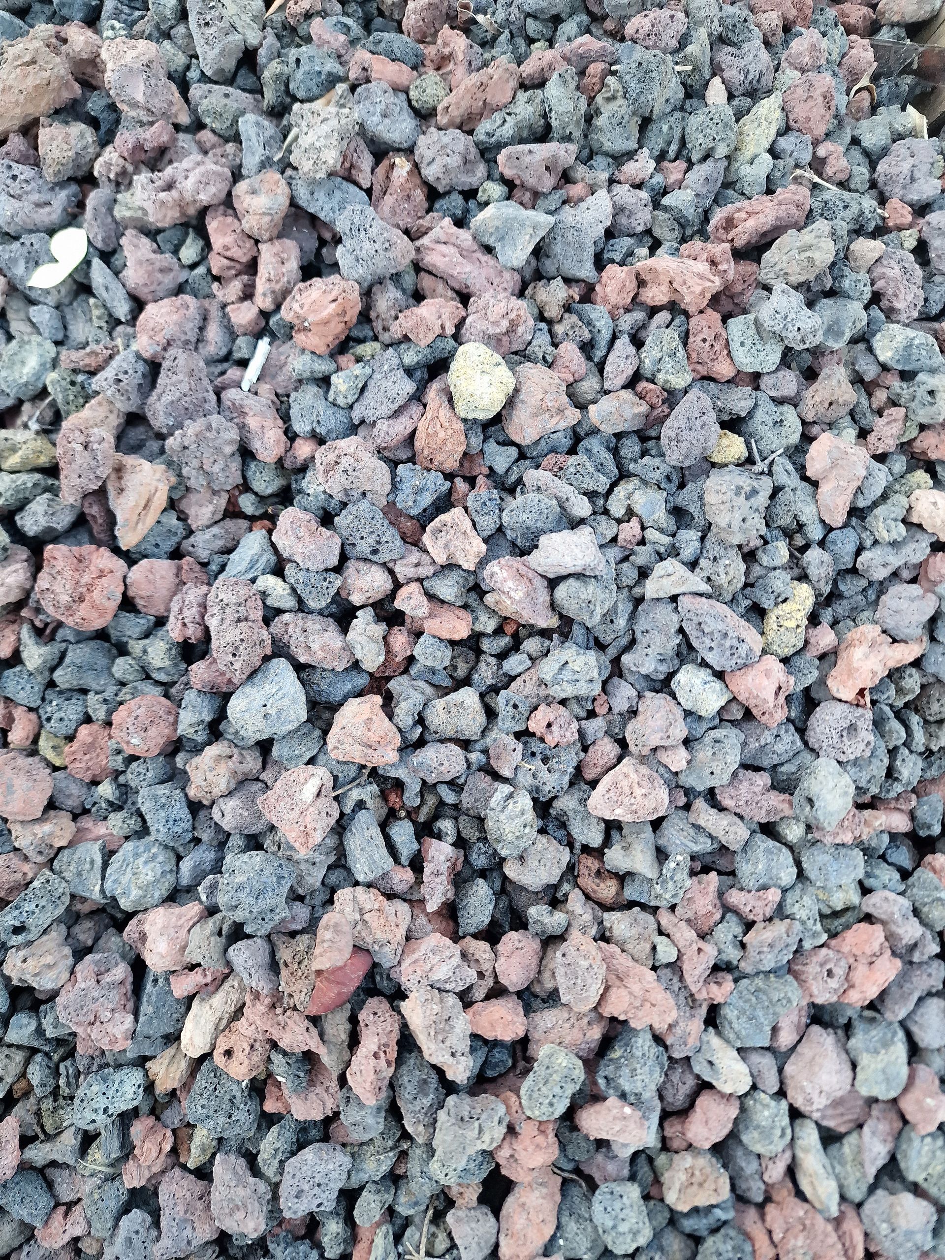 PEPINIERE DES ASPRES GRASSE 2024 ALPES MARITIMES JARDINERIE