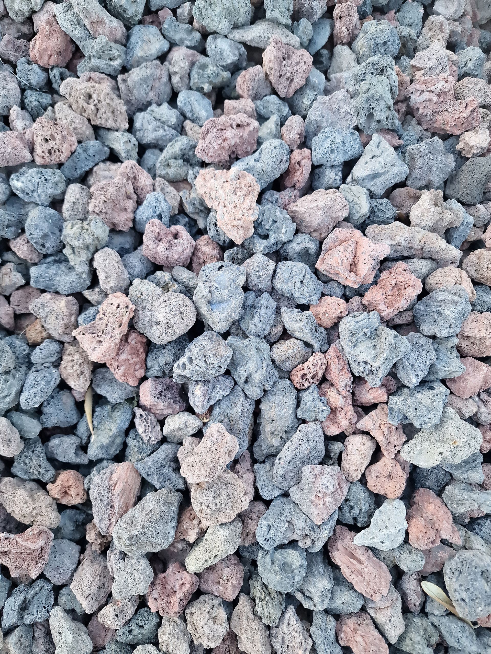 PEPINIERE DES ASPRES GRASSE 2024 ALPES MARITIMES JARDINERIE