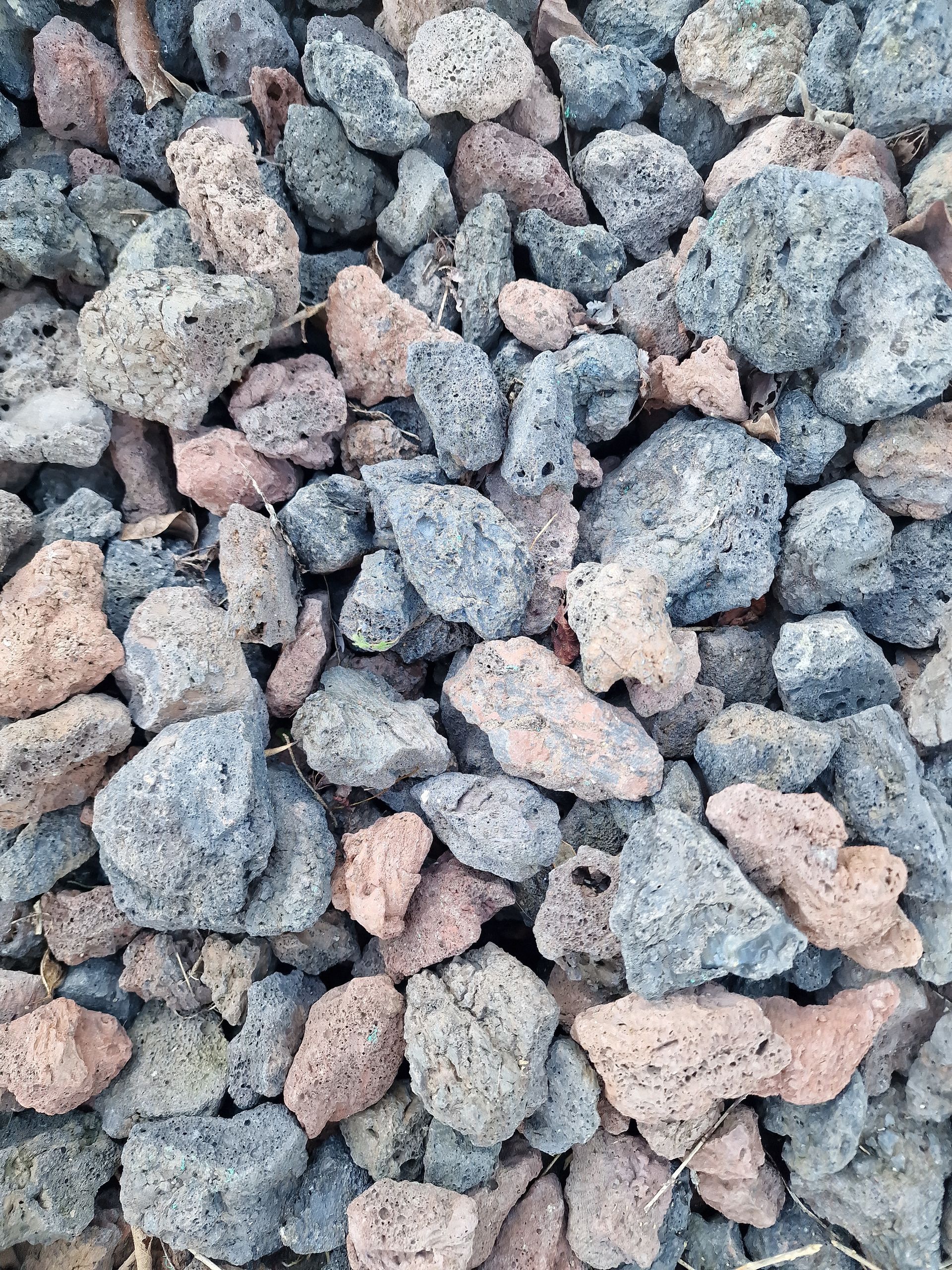 PEPINIERE DES ASPRES GRASSE 2024 ALPES MARITIMES JARDINERIE