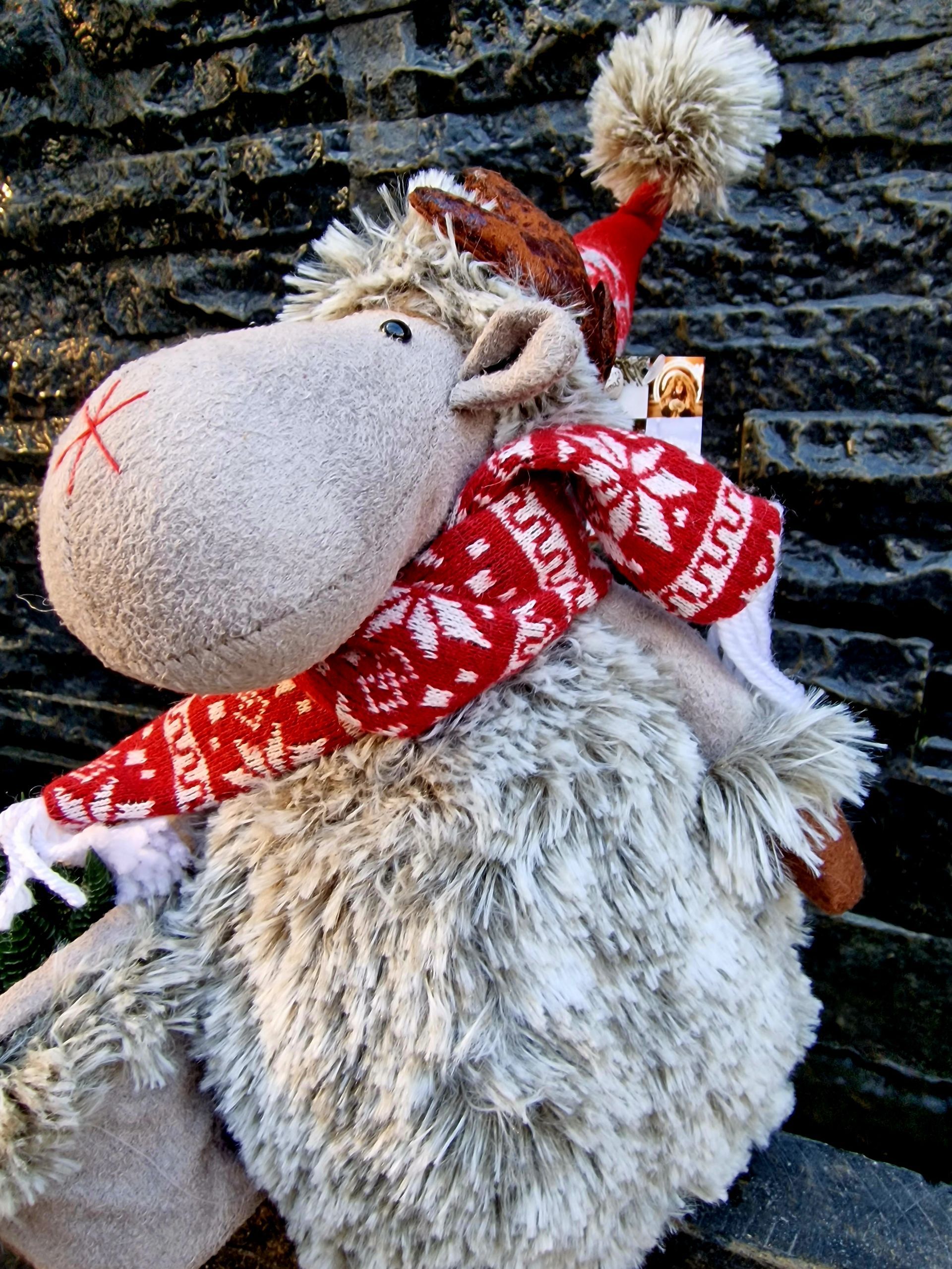 PEPINIERE DES ASPRES GRASSE 2024 ALPES MARITIMES JARDINERIE