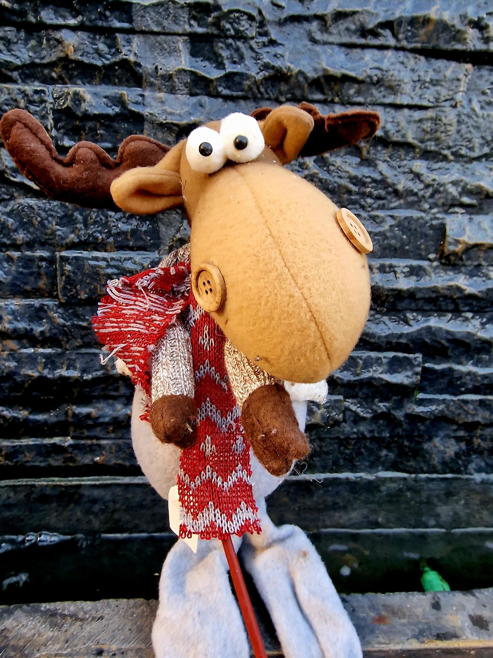 PEPINIERE DES ASPRES GRASSE 2024 ALPES MARITIMES JARDINERIE